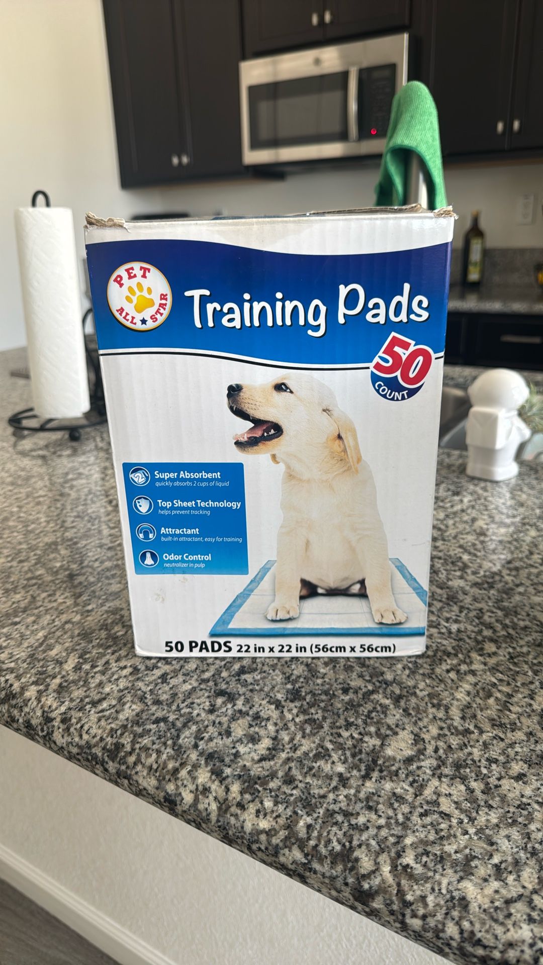 Training Pads X50