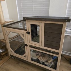 Bunny Cage, Food And Bedding