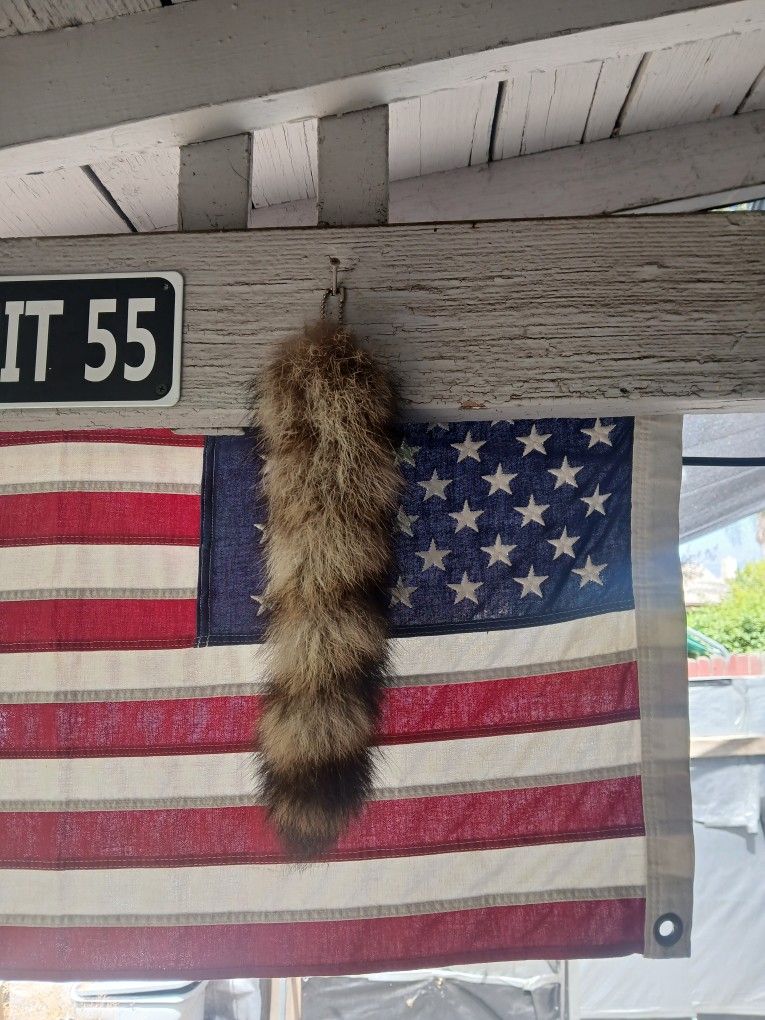 Tail For Classic Car