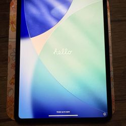 iPad Pro M4 11 Inch (WiFi) 