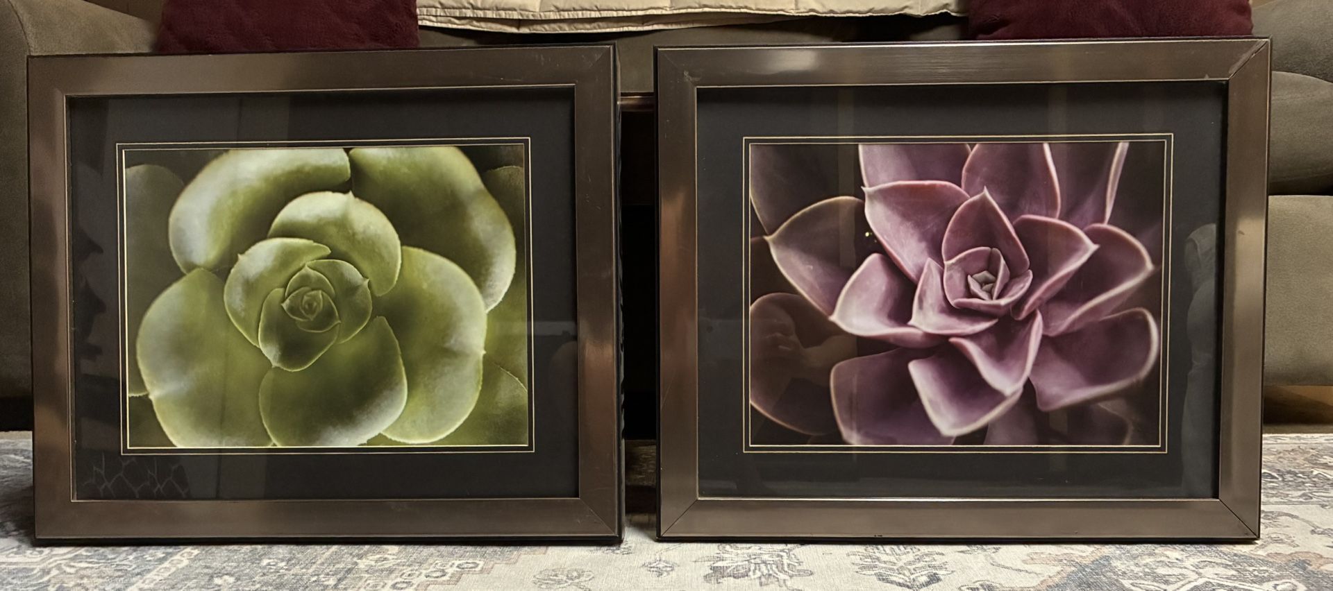Trademark Fine Art "Florison 25" Canvas Art by Alan B