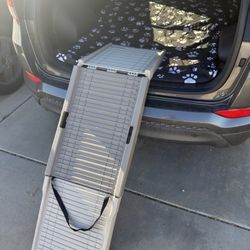 Dog Ramp Amazon Basics 