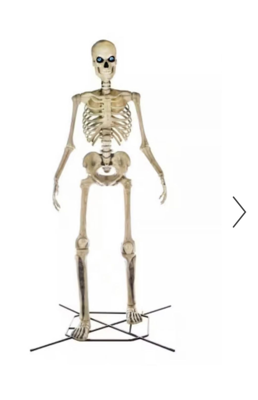 HOME DEPOT 12 FOOT SKELLY!!!