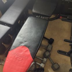 Bowflex Dumbbell Weight Bench