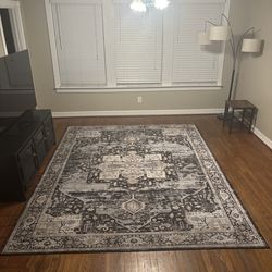Modern 8x10 Area Rug