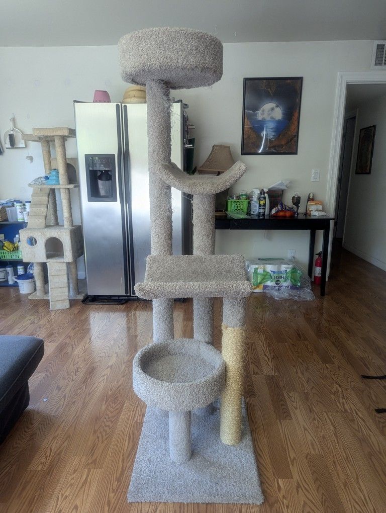 Cat Tree