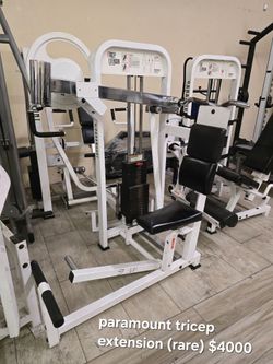 Paramount Tricep Extension Gym Equipment Exercise Fitness Weight Machine