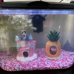 Shrimp/Molly Tank Set(Koller Products 5-Gallon Aquarium Kit with LED Lighting and Power Filter)