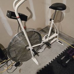 Vintage Scwhin Air Dyne