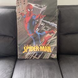 THE AMAZING SPIDER-MAN 2007