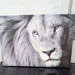 Lion Head in Grey Animal Canvas Art Print