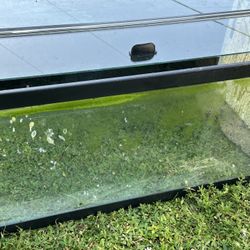 40 Gallon Breeder, With Glass Top! 