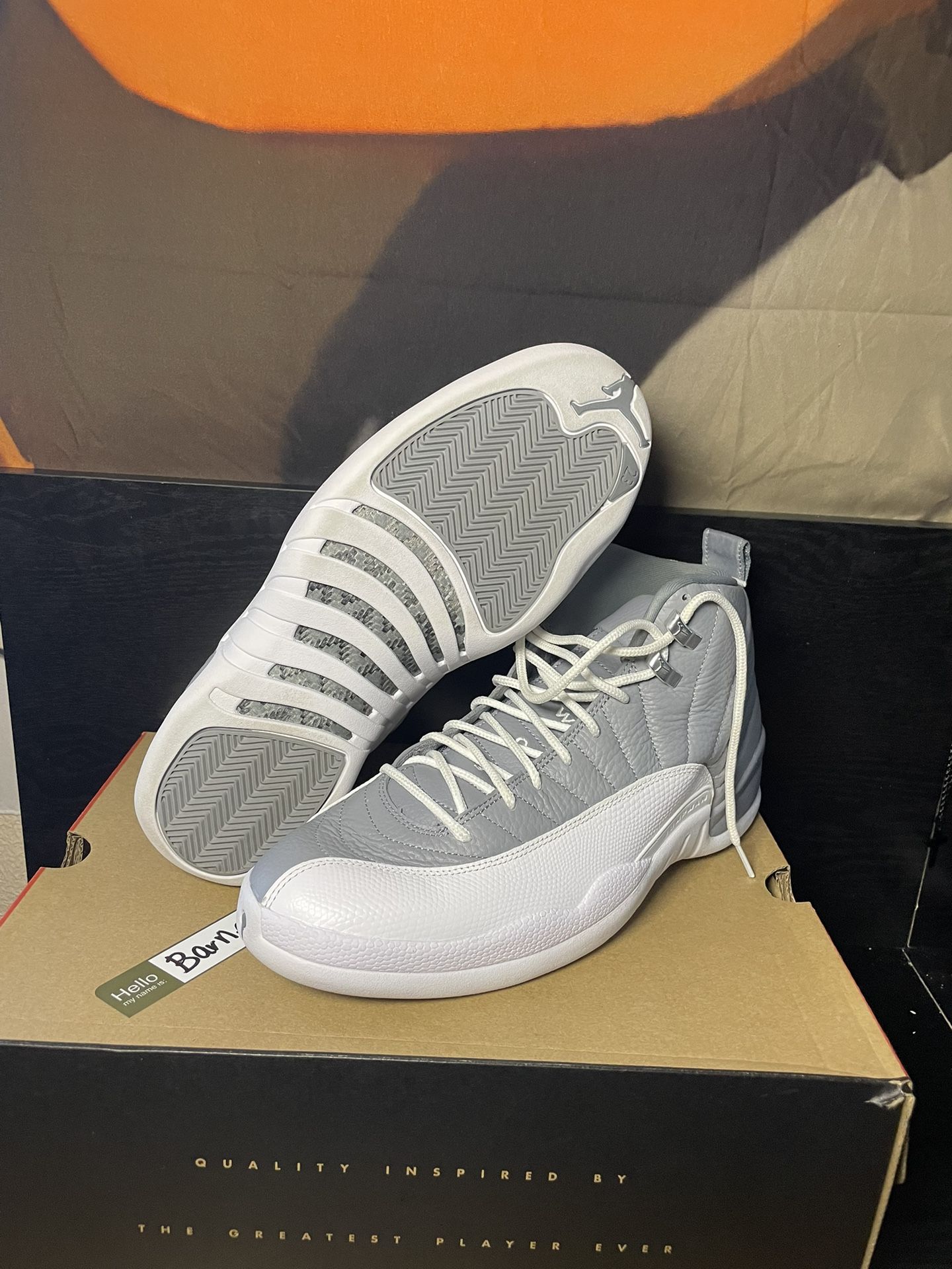 jordan 12 stealths