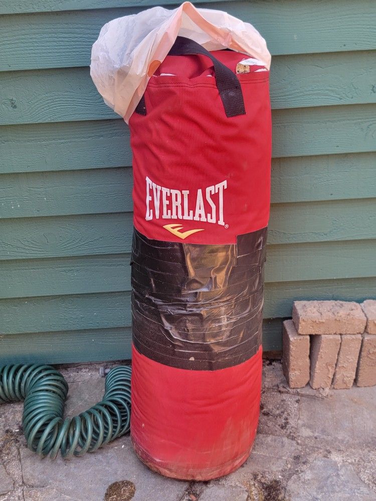 Everlast Punching Bag