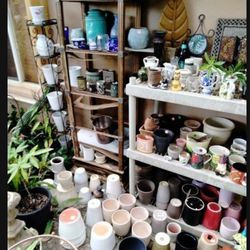 Ceramic House Plant Pots