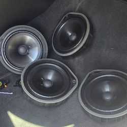 Oem Speakers