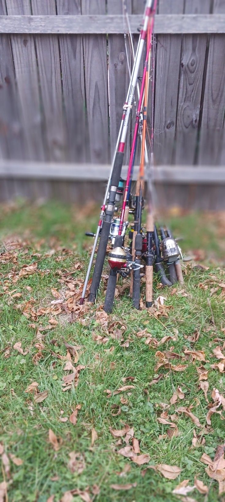Bunch Of Fishing Rods