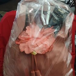 Peach Colored Hobo Handbag 