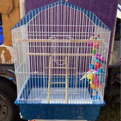 Bird Cage