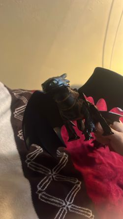 Toothless Toy