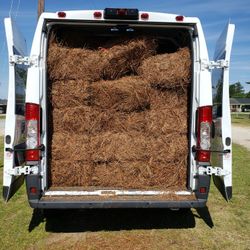 PINE STRAW LONGLEAF BALES