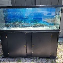 55 Gallon  Fish Tank With The Stand