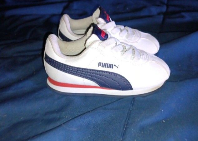Baby Pumas'