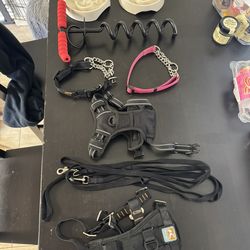Dog Supplies, Collars, Harnesses, Leashes, Bowls, Anchor