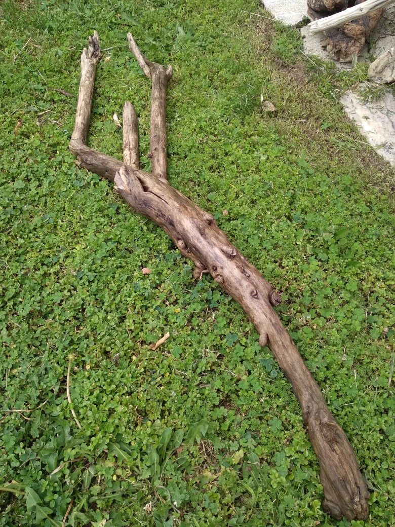 Genuine Driftwood For Aquariums Terrariums
