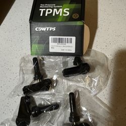 Tire Pressure Monitoring System