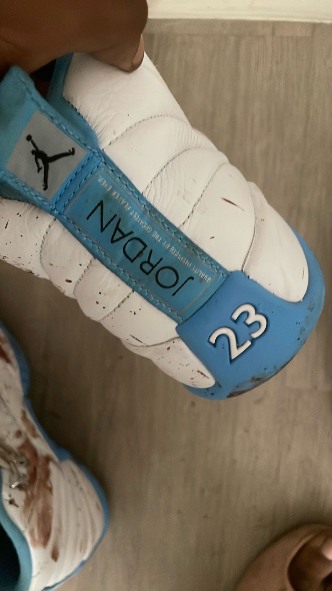 Jordan 12s University Baby Blues