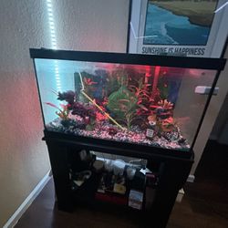 Beautiful Gently used Fish Tank