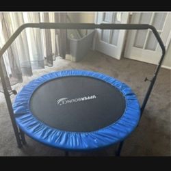 Trampoline Pick Up And Cash Only