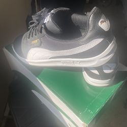 Pumas