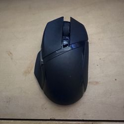 Mouse