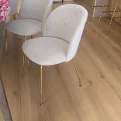 8 Dining Chairs Rov concept Great Quality 
