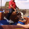 El Toro Loco