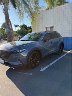 Tint for sale
