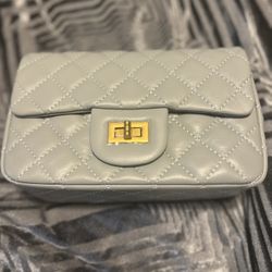 Tiffany & Fred Paris purse/ Crossbody 