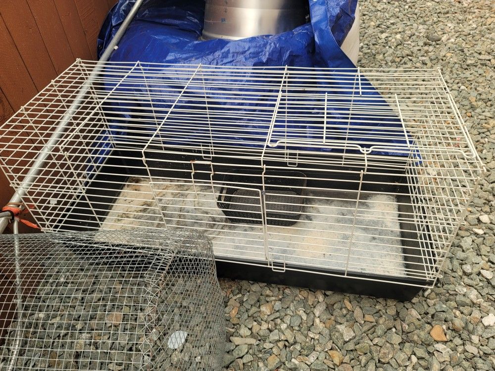 Large Rabbit Cage