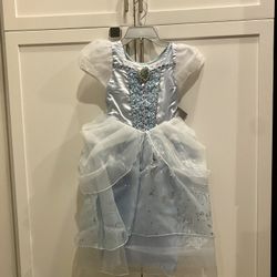 Disney Cinderella Costume