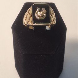 Onyx GTS Ring 10k 6.3g