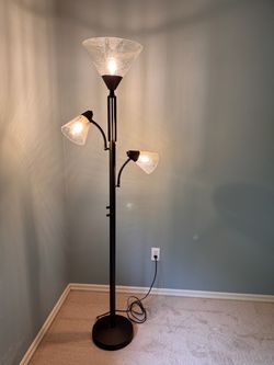 Floor lamp with reading / area lights