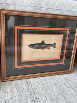 Vintage Framed Trout Print – 17.75” x 14.25” Lodge Cabin Decor