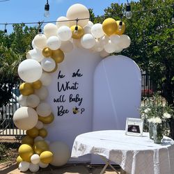 Backdrop Panels and Baloon Garland for Birthday, Bridal Shower, Babyshower, Party Decoration