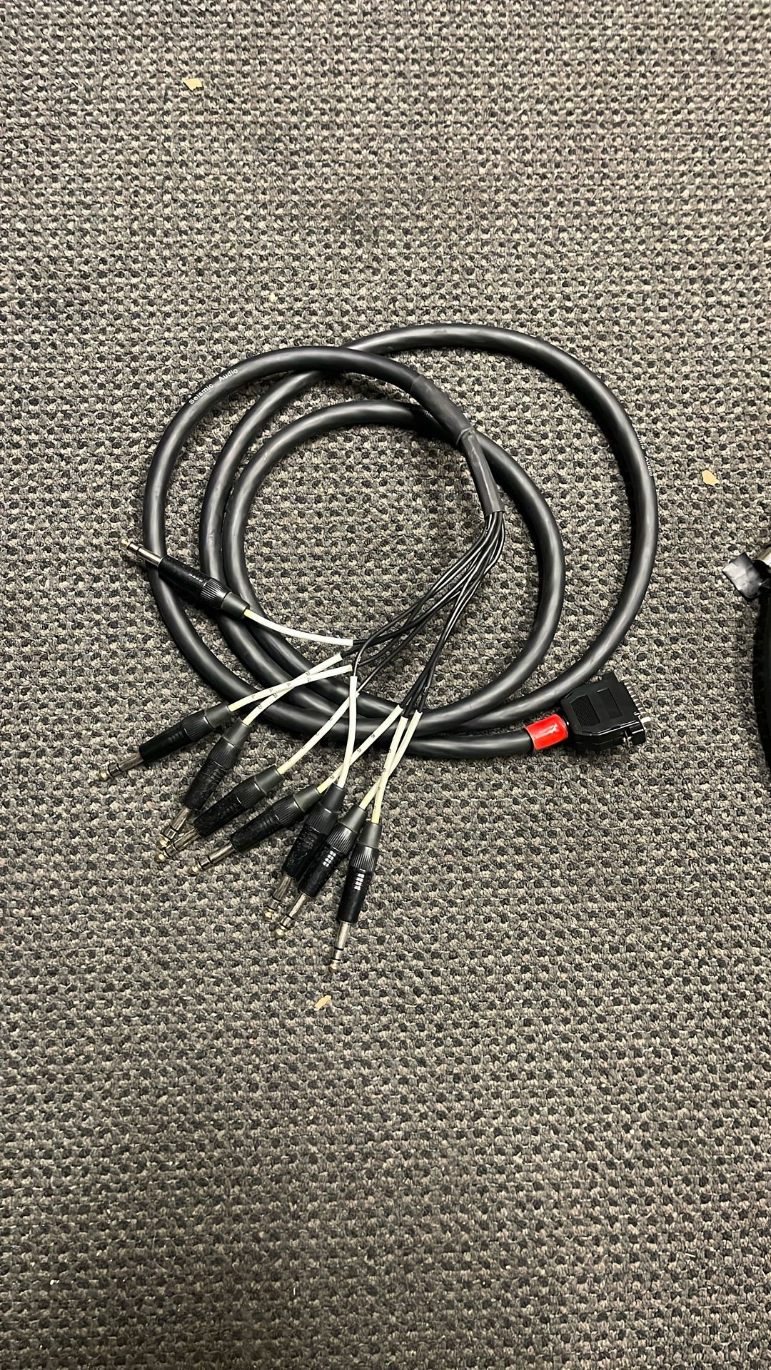8 Channel Audio Snake - Dsub To Male Trs