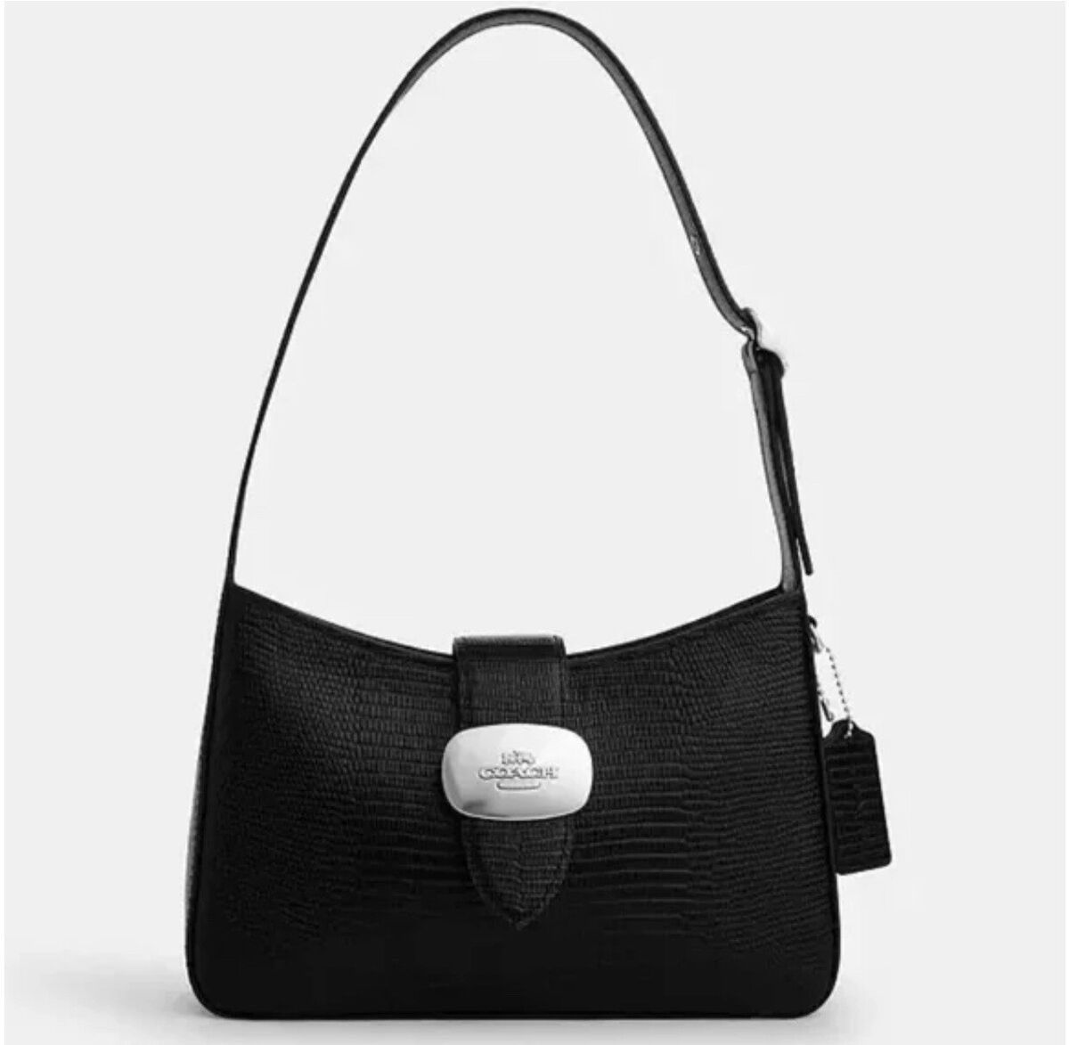 Liz Eliza Coach bag