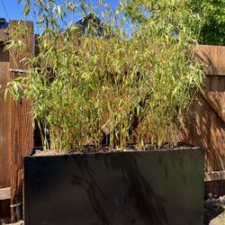 XL Metal Planter Box (empty - no plants included)