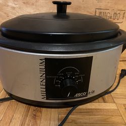 Nesco 6quart roaster stainless steel