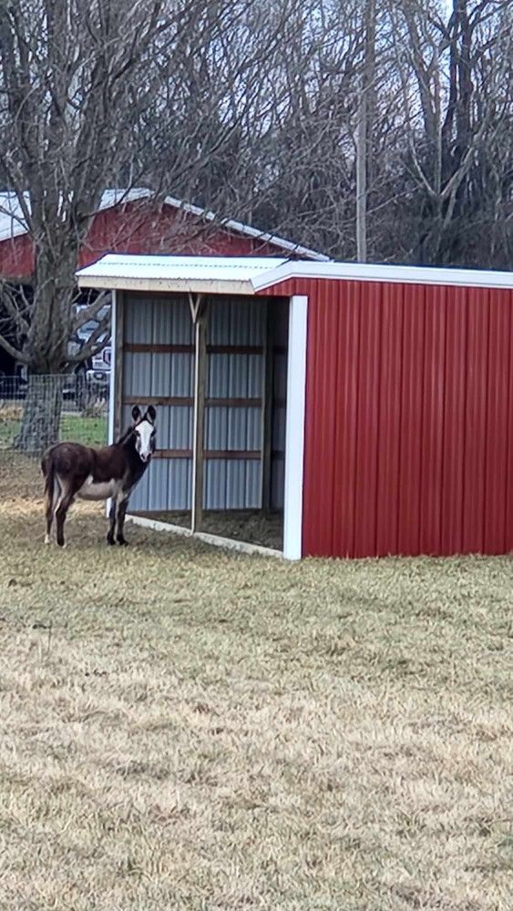 12x28x10 Horse Run Built On Site